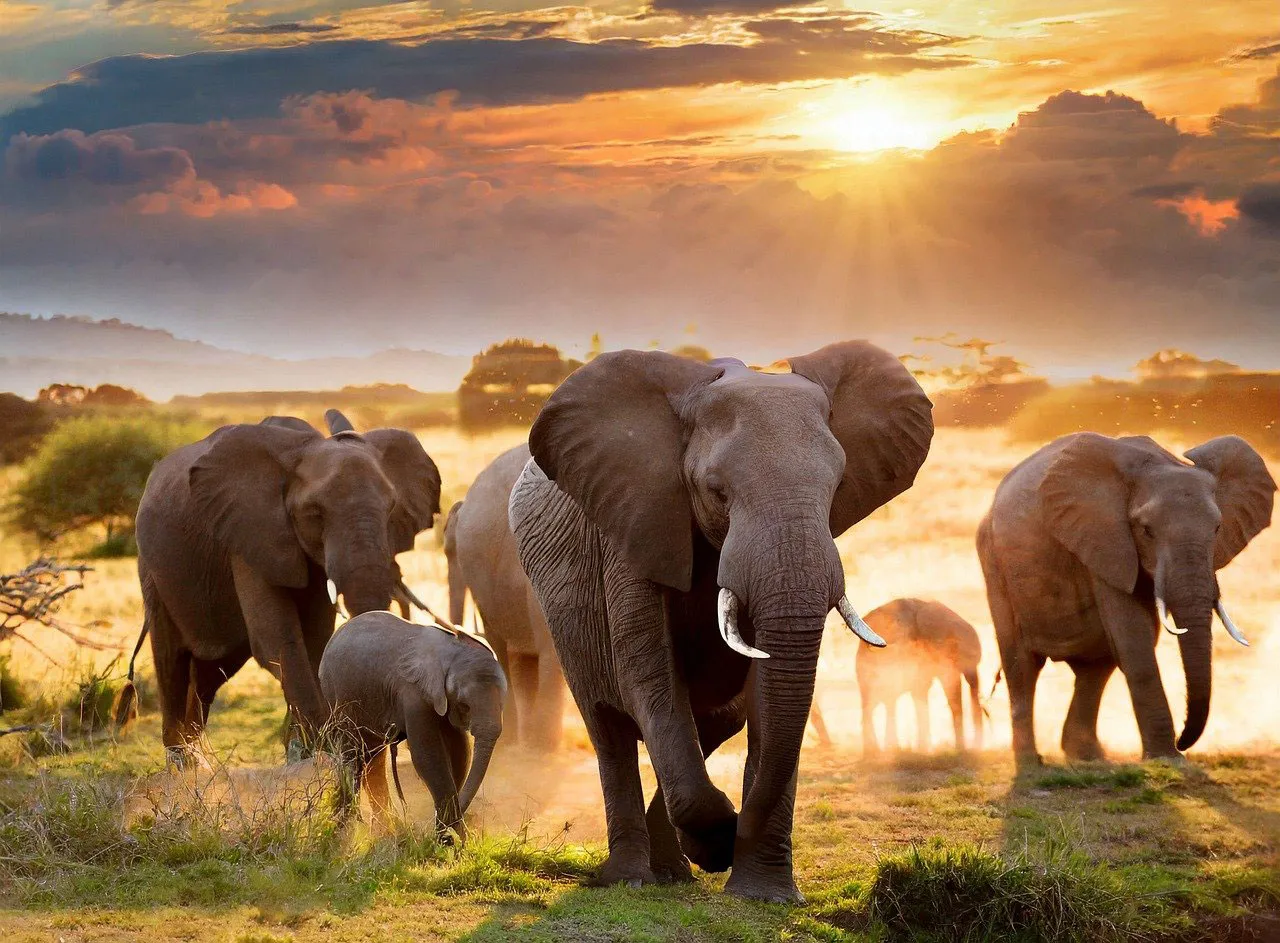 ai generated 8693909 1280